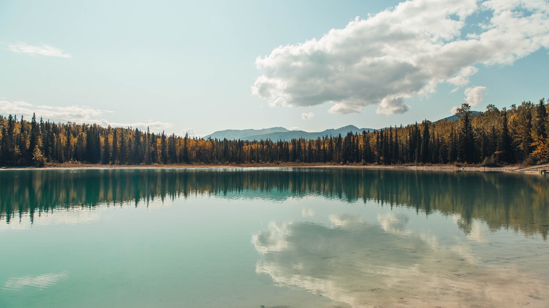 _世界定向越野赛,探索野外未知领域_,定向越野世界排名